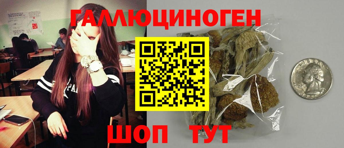 Галлюциногенные грибы прущие грибы Курск