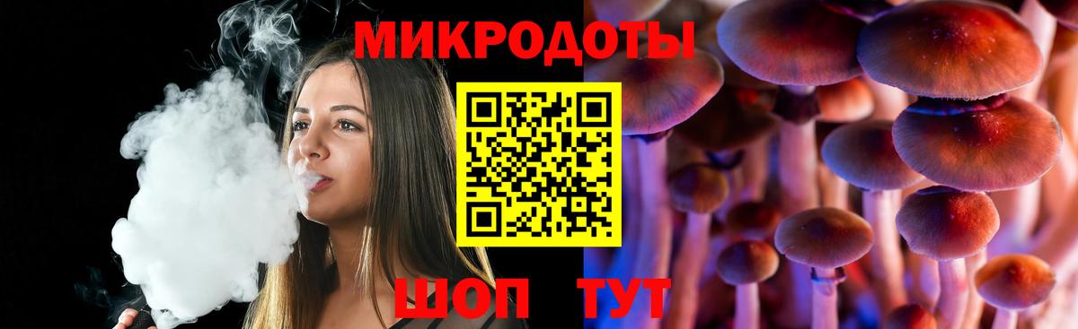 Курск  Псилоцибиновые грибы Psilocybe  Вход с VPN 